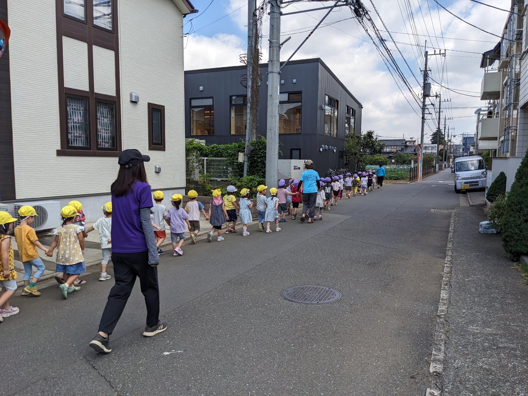 枝豆の収穫（年中）